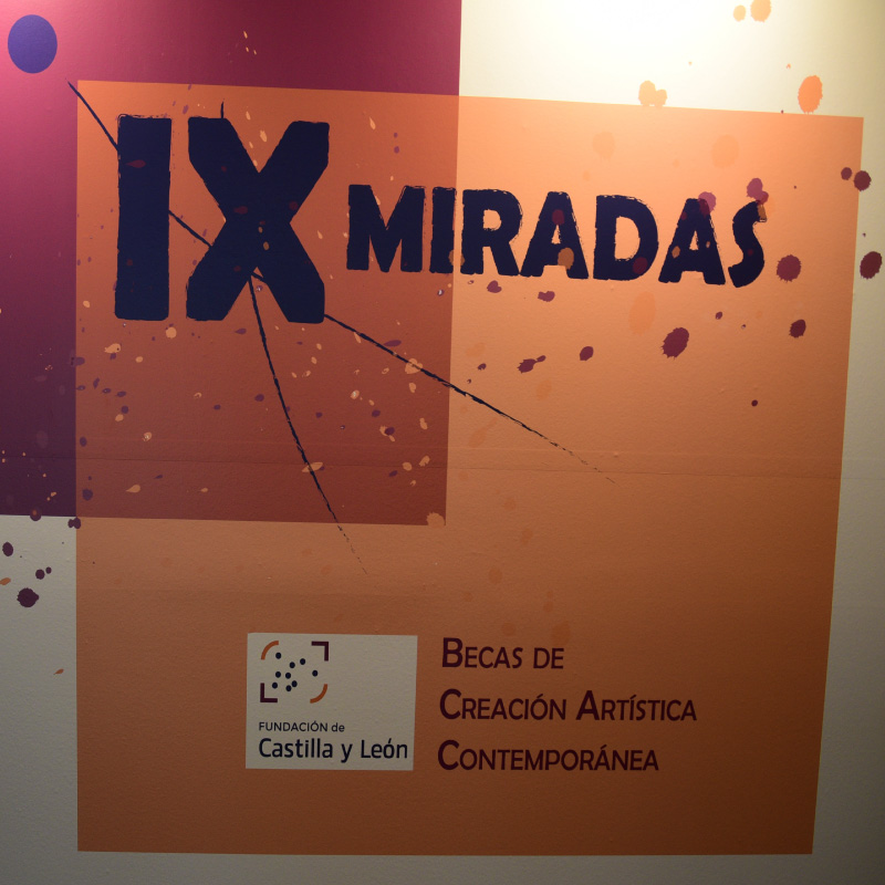 EXPOSICIÓN «IX MIRADAS»